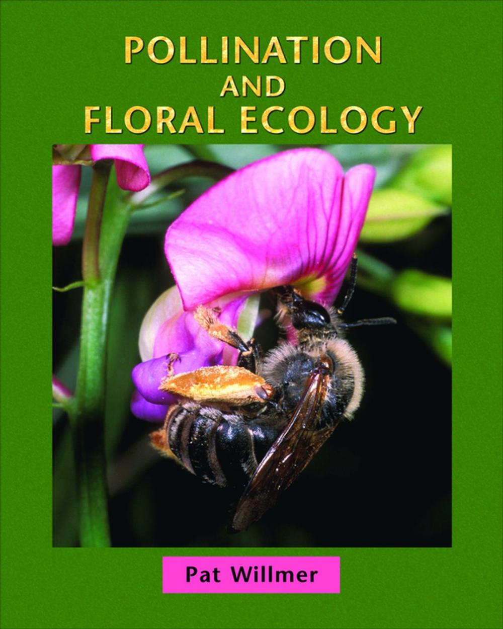 Big bigCover of Pollination and Floral Ecology