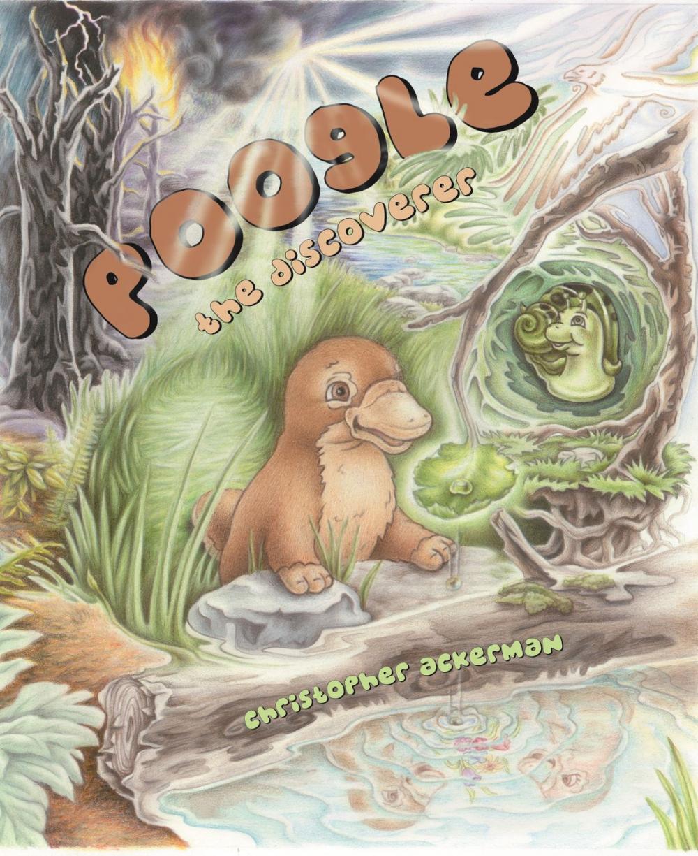 Big bigCover of Poogle the Discoverer