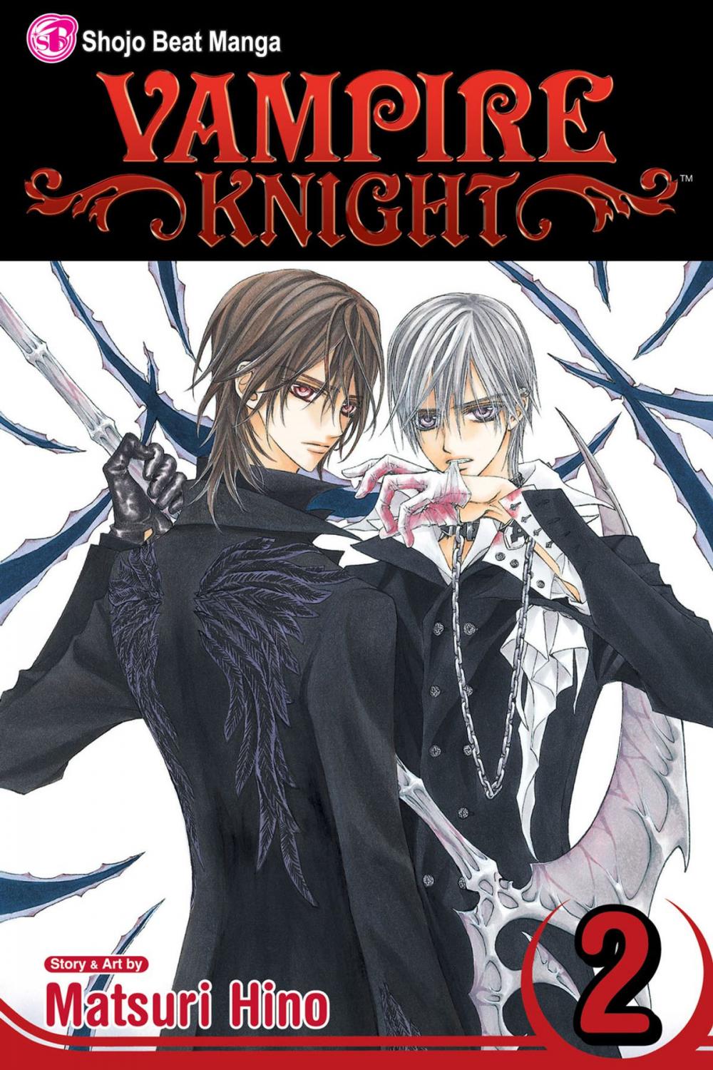 Big bigCover of Vampire Knight, Vol. 2