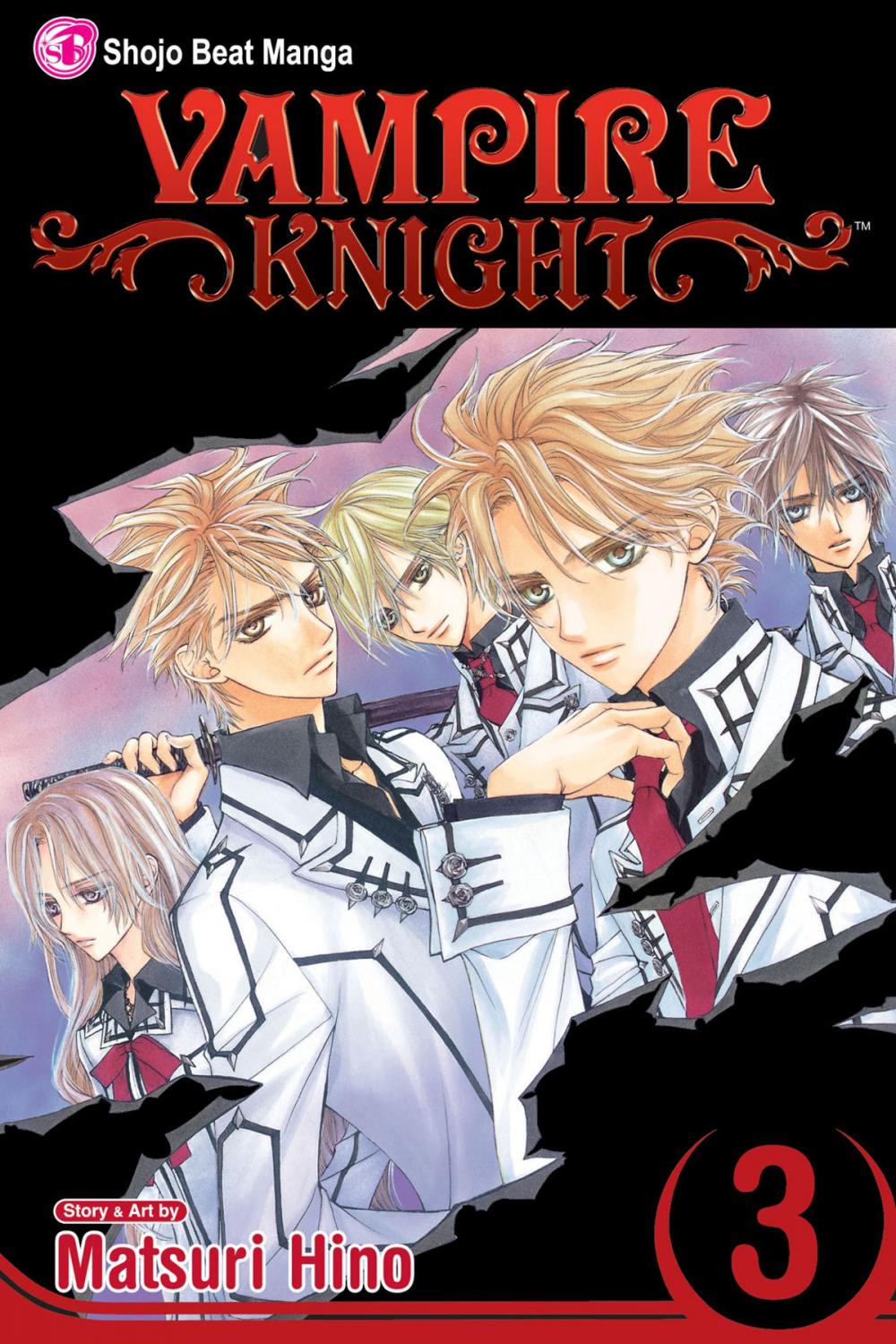 Big bigCover of Vampire Knight, Vol. 3