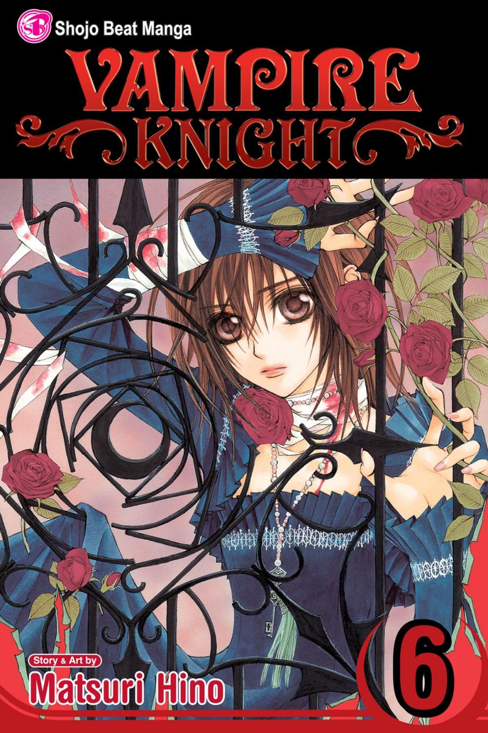 Big bigCover of Vampire Knight, Vol. 6