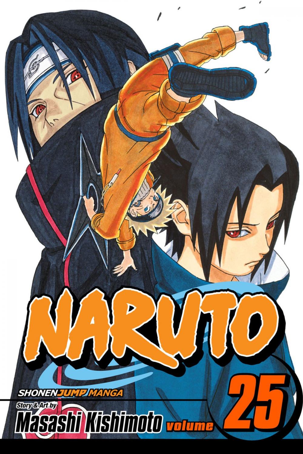 Big bigCover of Naruto, Vol. 25