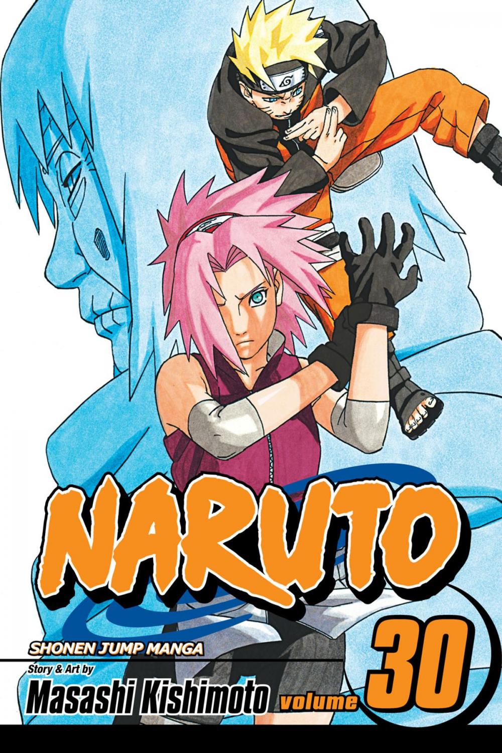 Big bigCover of Naruto, Vol. 30