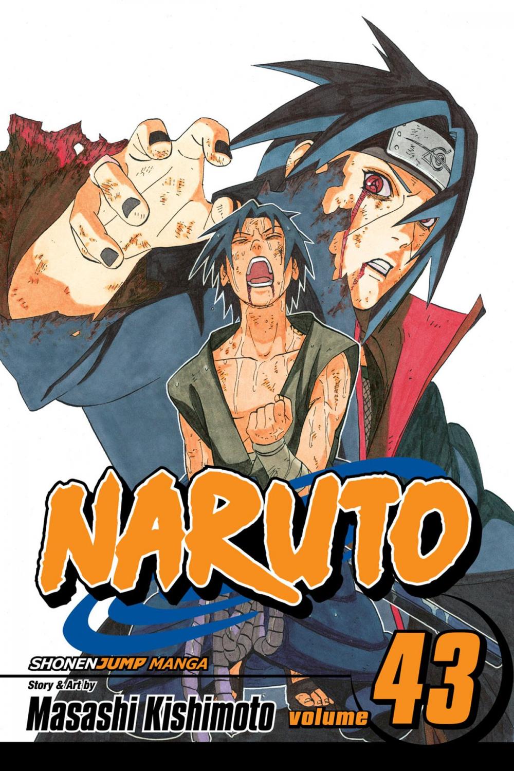 Big bigCover of Naruto, Vol. 43