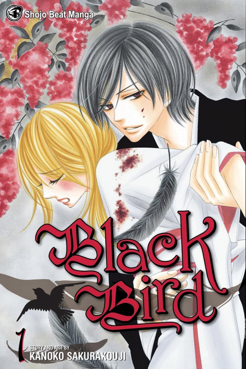 Big bigCover of Black Bird, Vol. 1