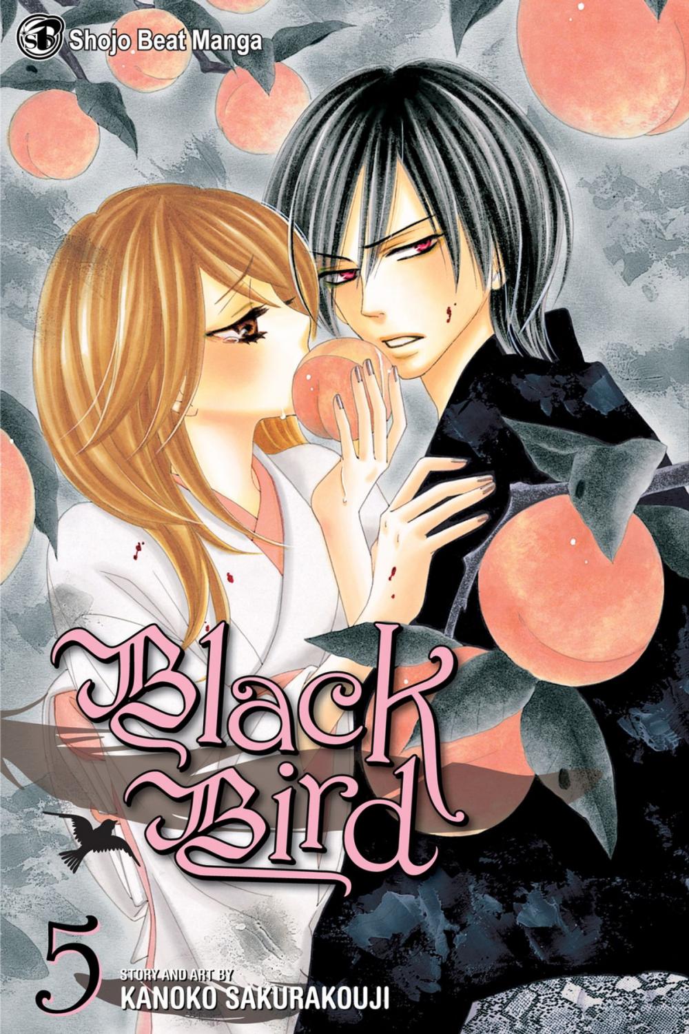 Big bigCover of Black Bird, Vol. 5