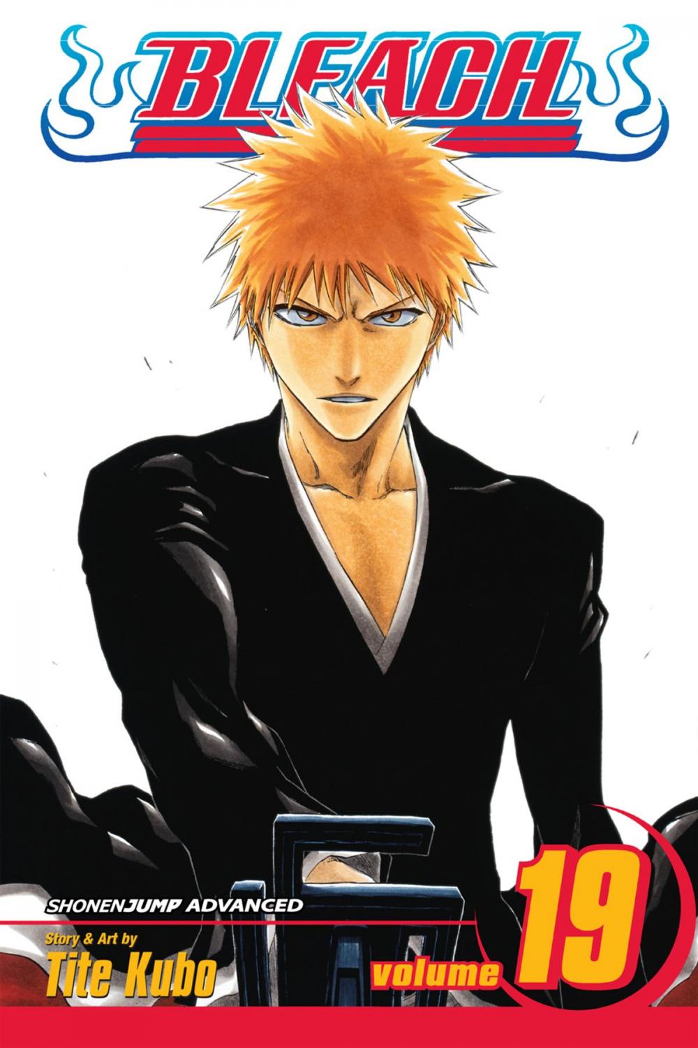 Big bigCover of Bleach, Vol. 19