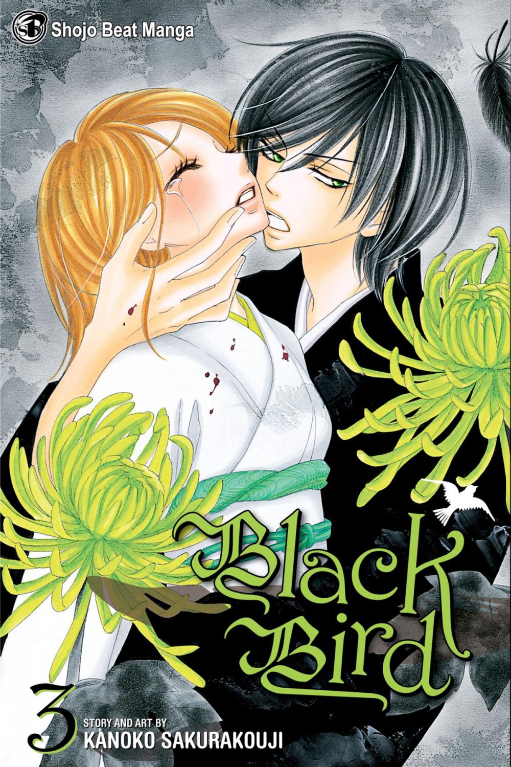 Big bigCover of Black Bird, Vol. 3