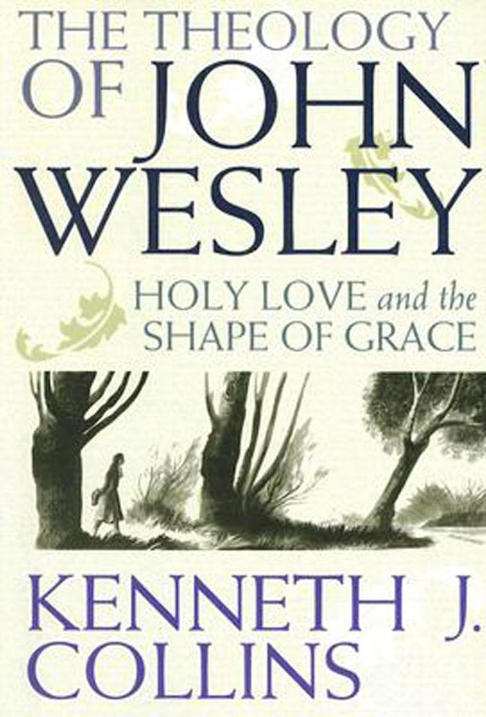 Big bigCover of The Theology of John Wesley