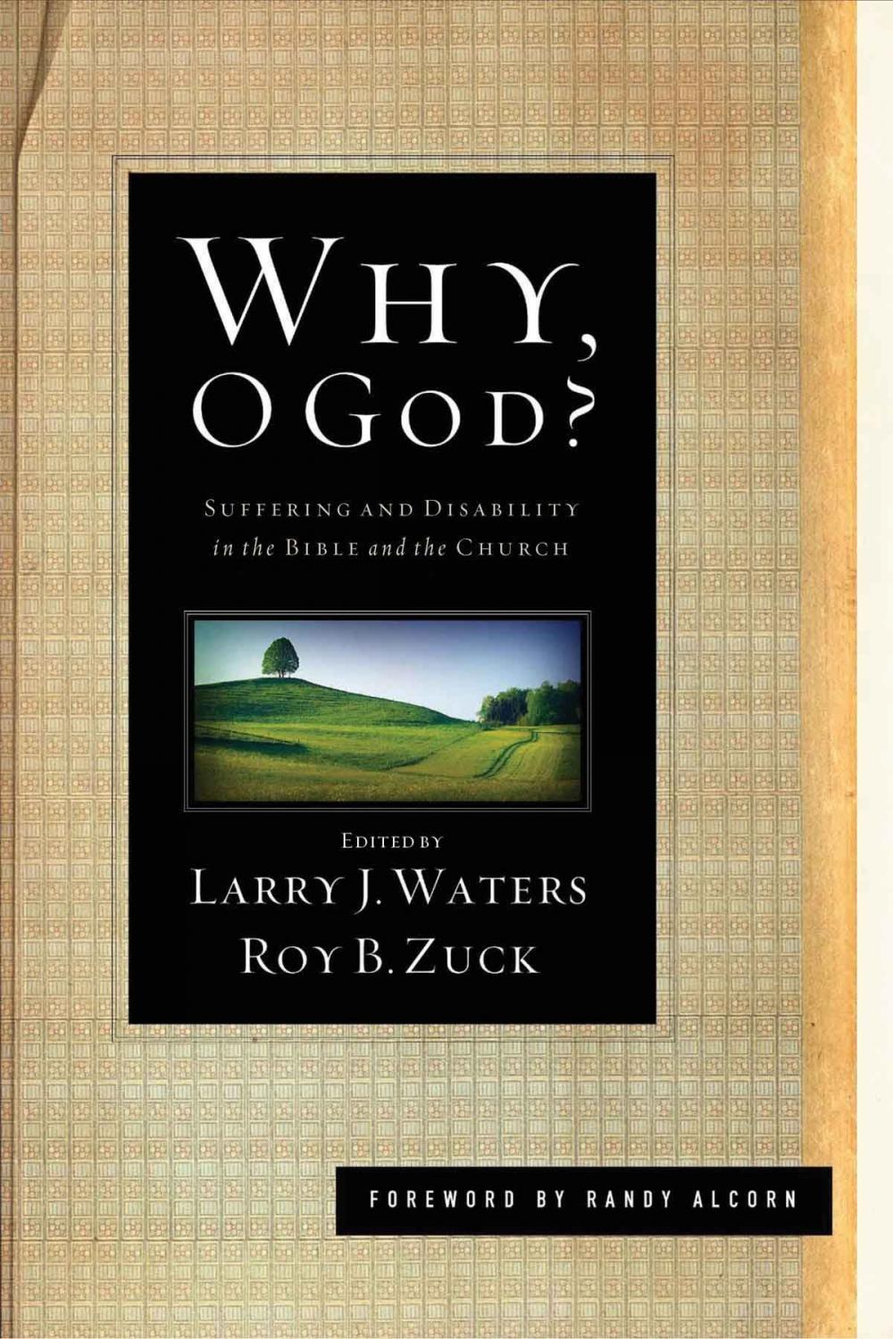 Big bigCover of Why, O God?: Suffering and Disability in the Bible and the Church