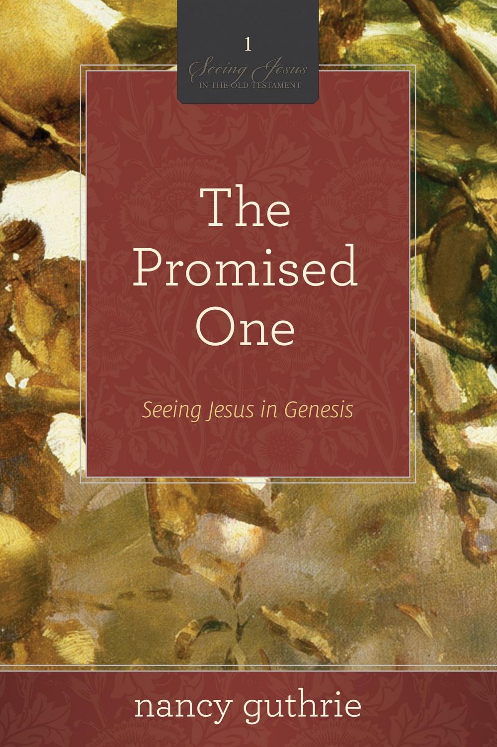 Big bigCover of The Promised One (A 10-week Bible Study)