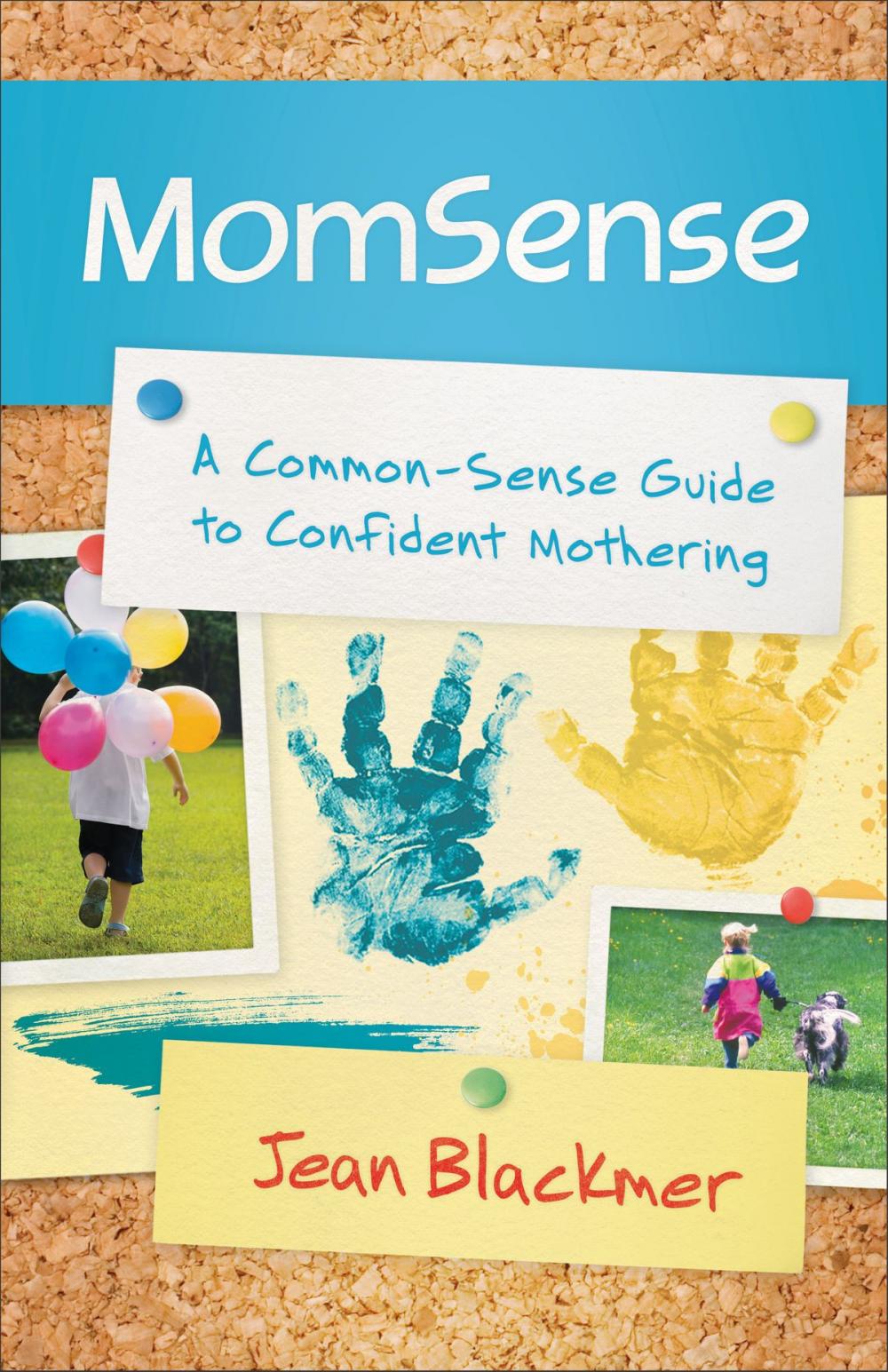 Big bigCover of MomSense