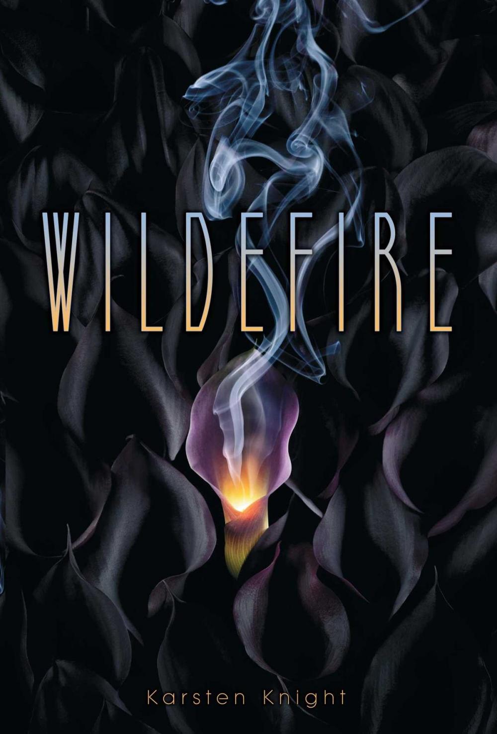 Big bigCover of Wildefire