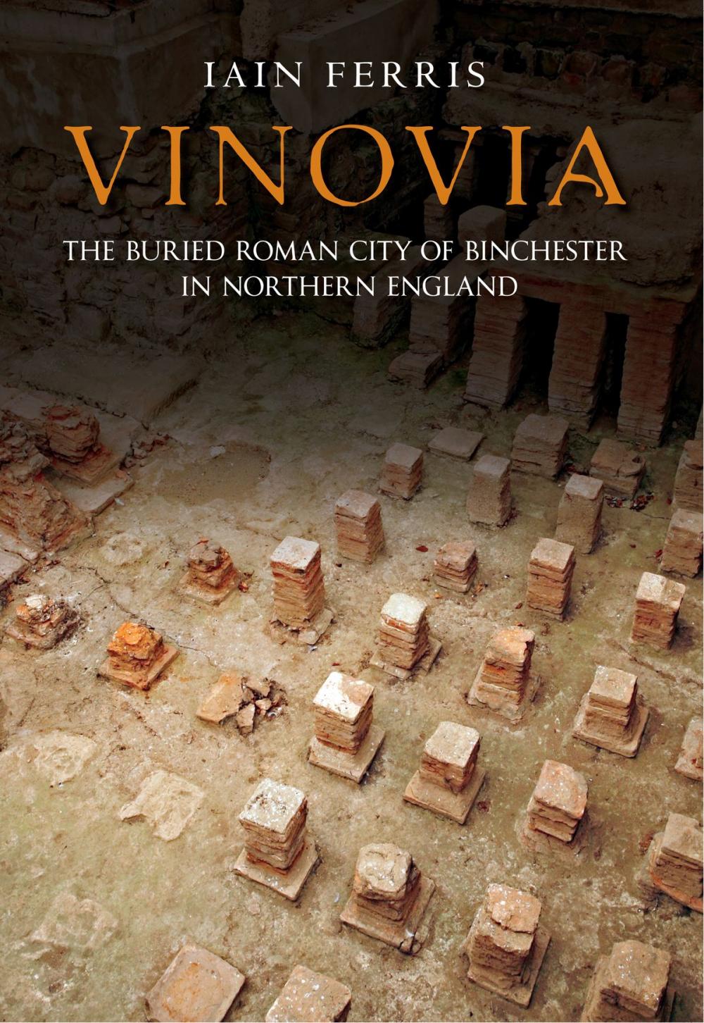 Big bigCover of Vinovia