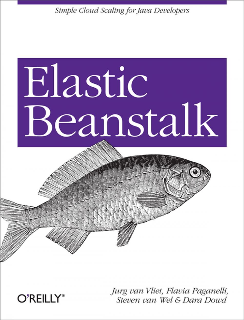 Big bigCover of Elastic Beanstalk