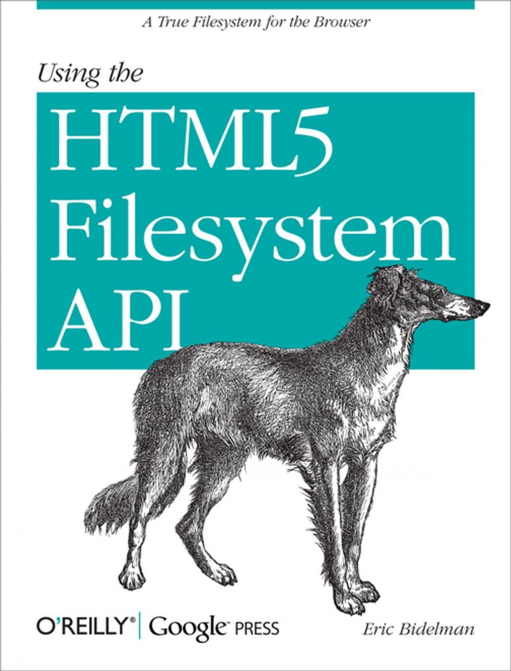 Big bigCover of Using the HTML5 Filesystem API