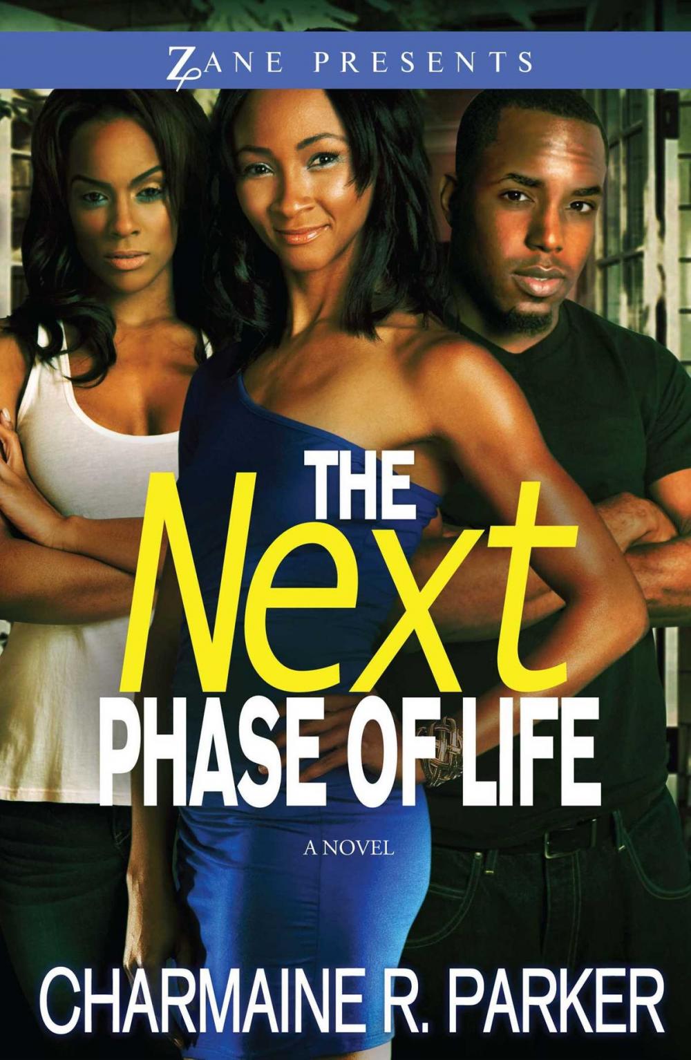 Big bigCover of The Next Phase of Life