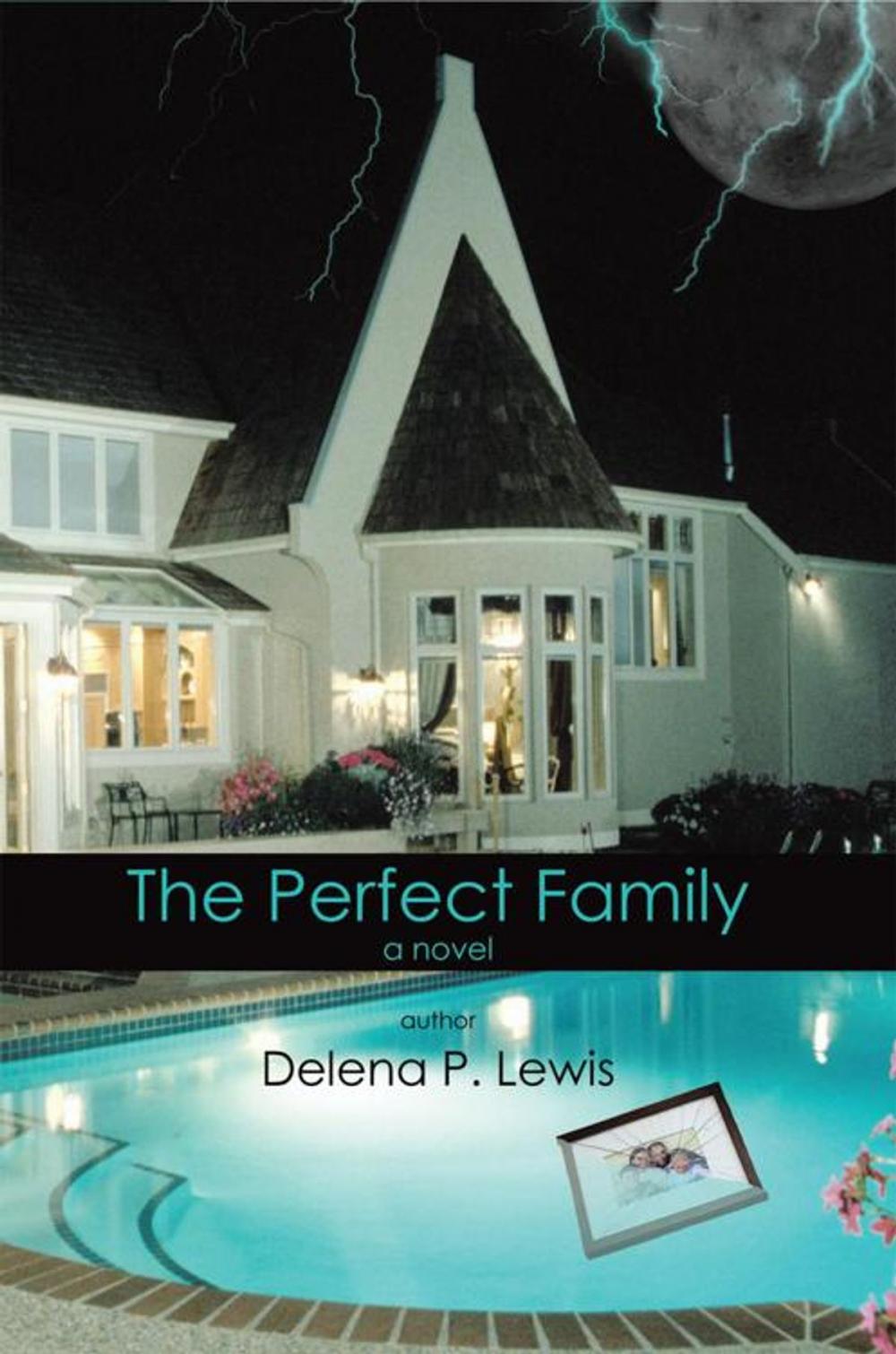 Big bigCover of The Perfect Family