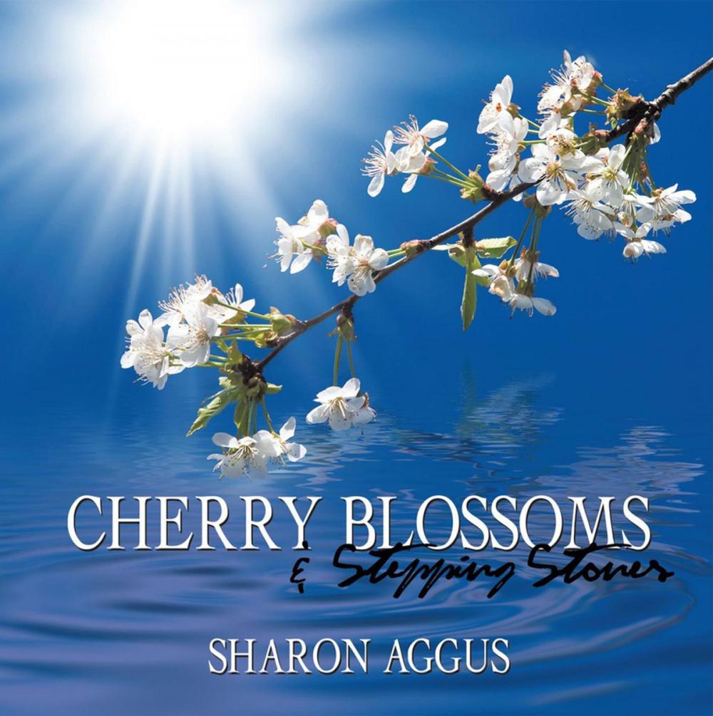 Big bigCover of Cherry Blossoms & Stepping Stones