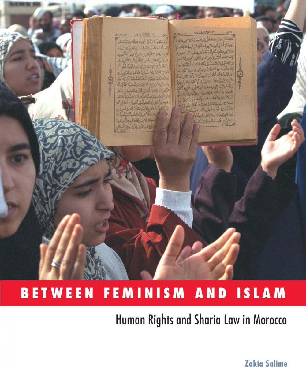 Big bigCover of Between Feminism and Islam