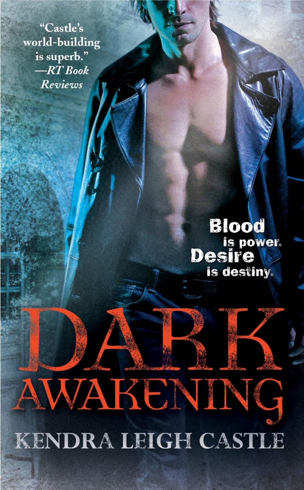 Big bigCover of Dark Awakening