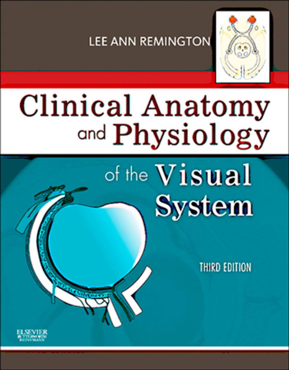 Big bigCover of Clinical Anatomy of the Visual System E-Book