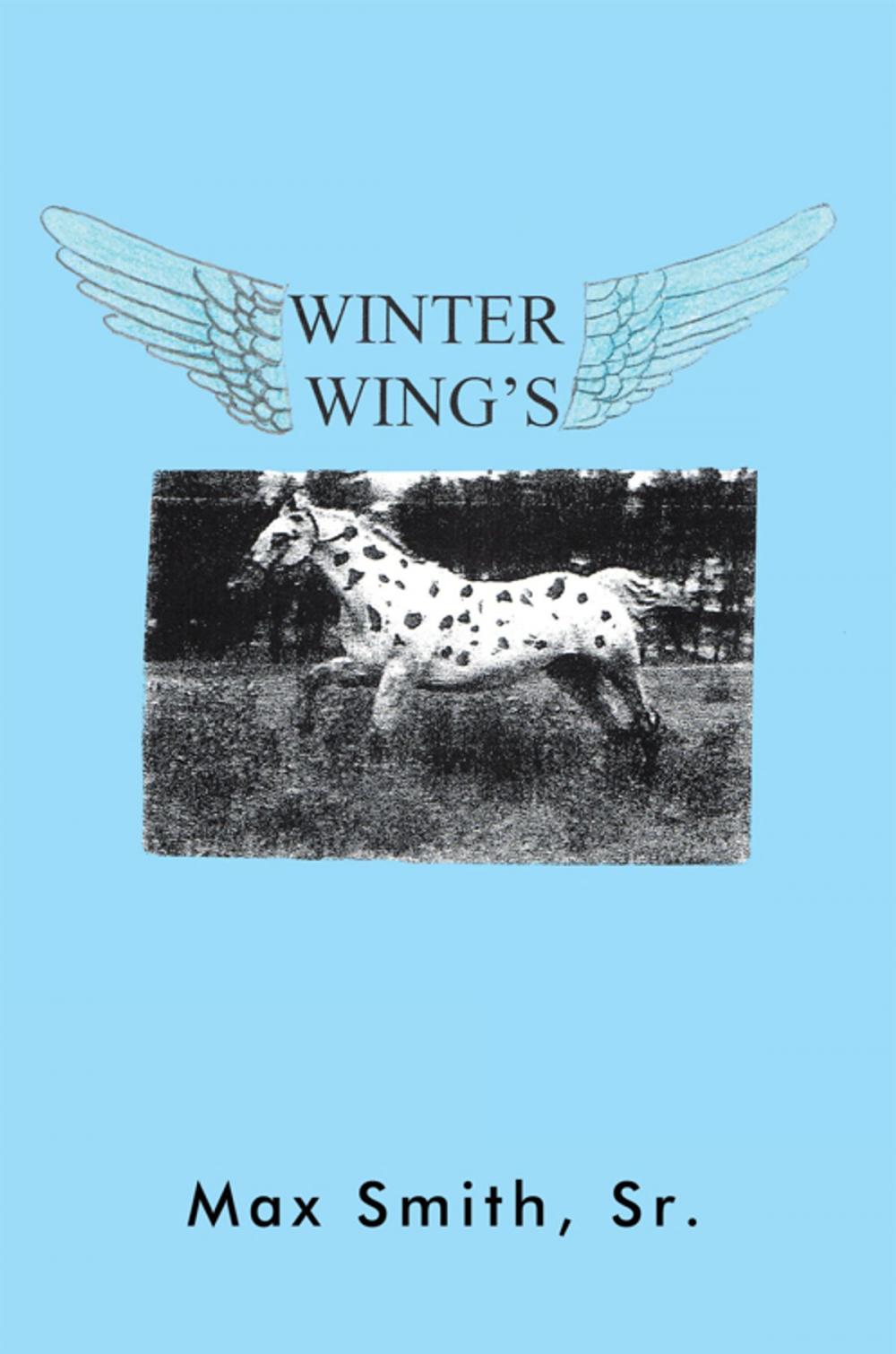 Big bigCover of Winter Wings