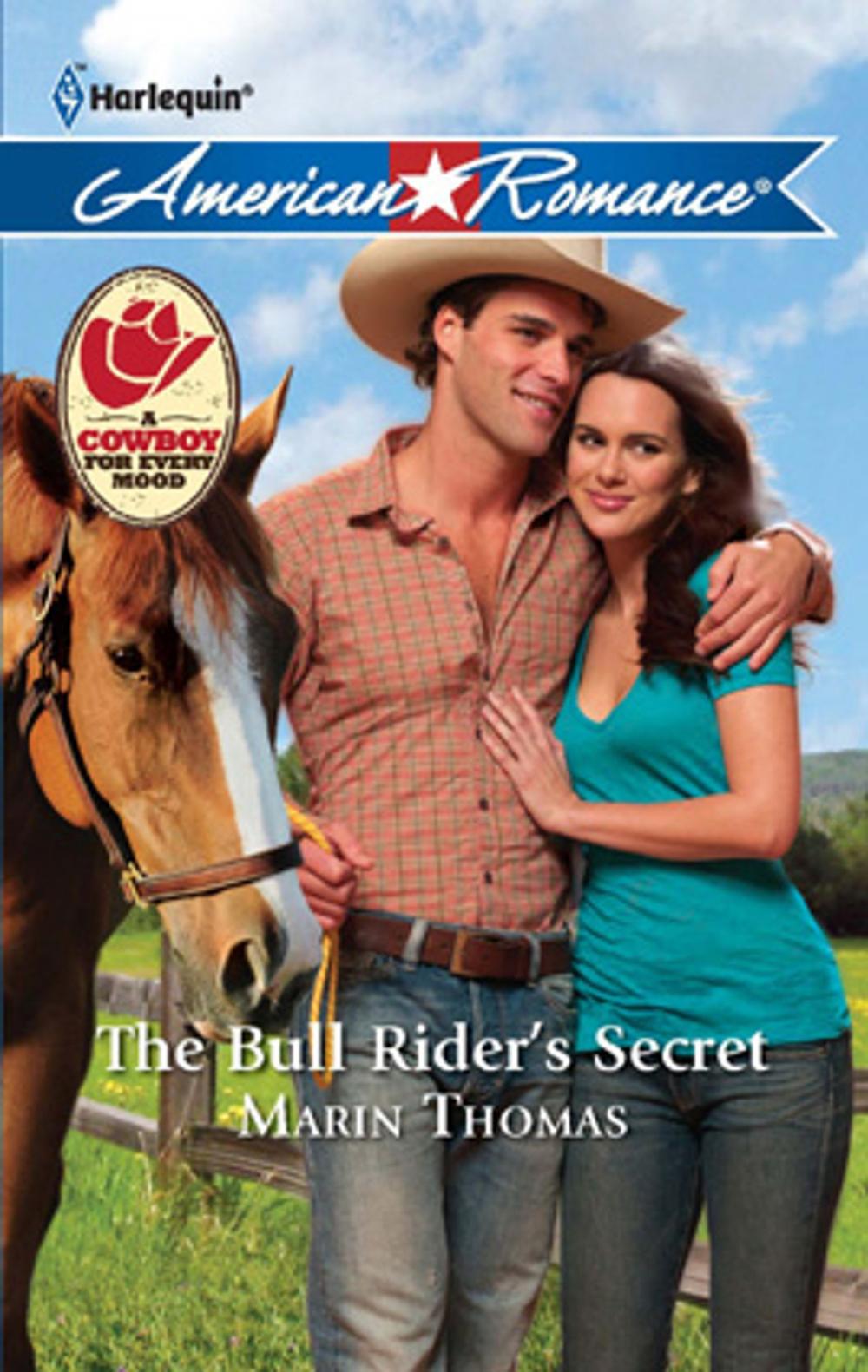 Big bigCover of The Bull Rider's Secret