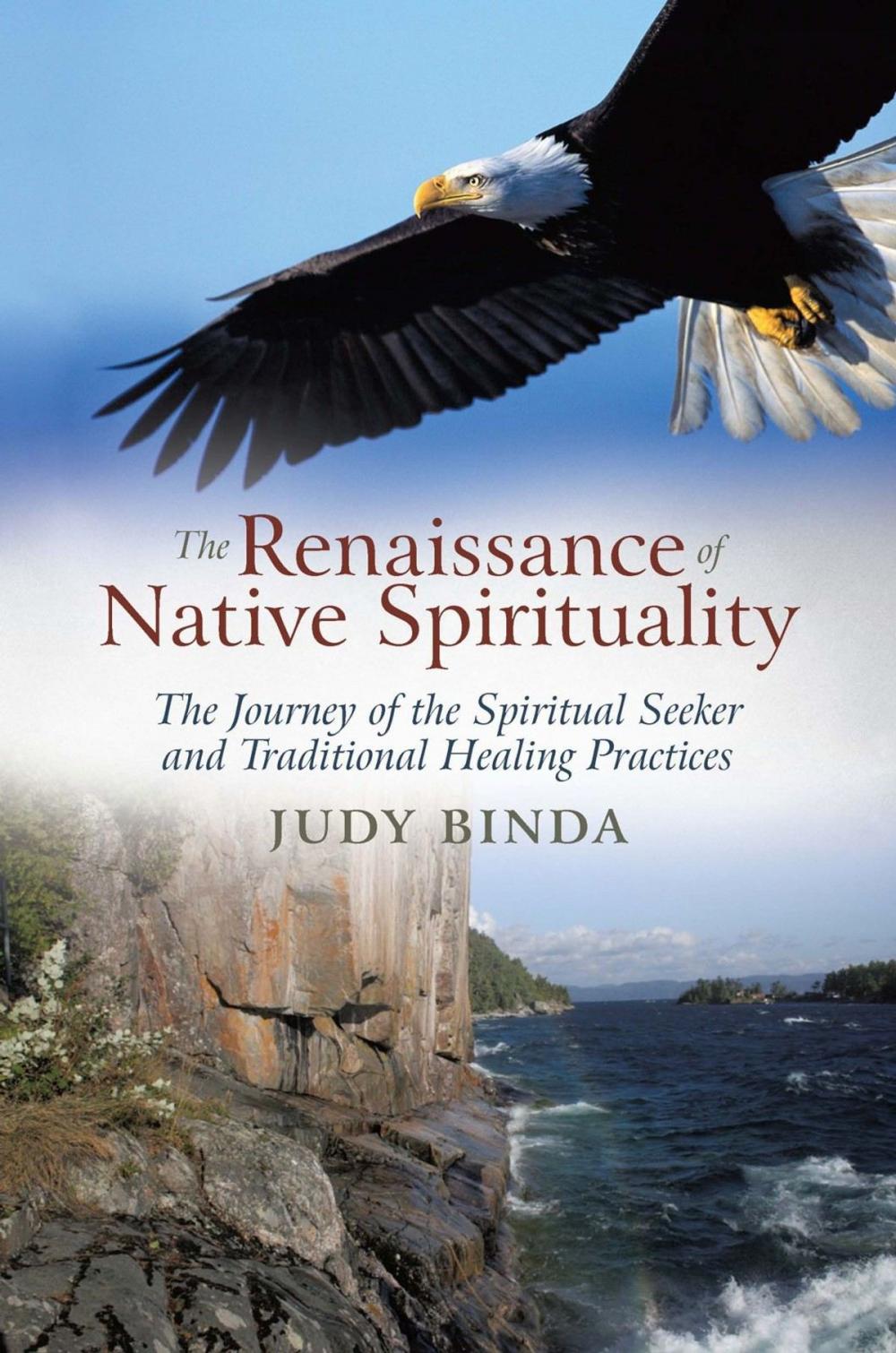 Big bigCover of The Renaissance of Native Spirituality