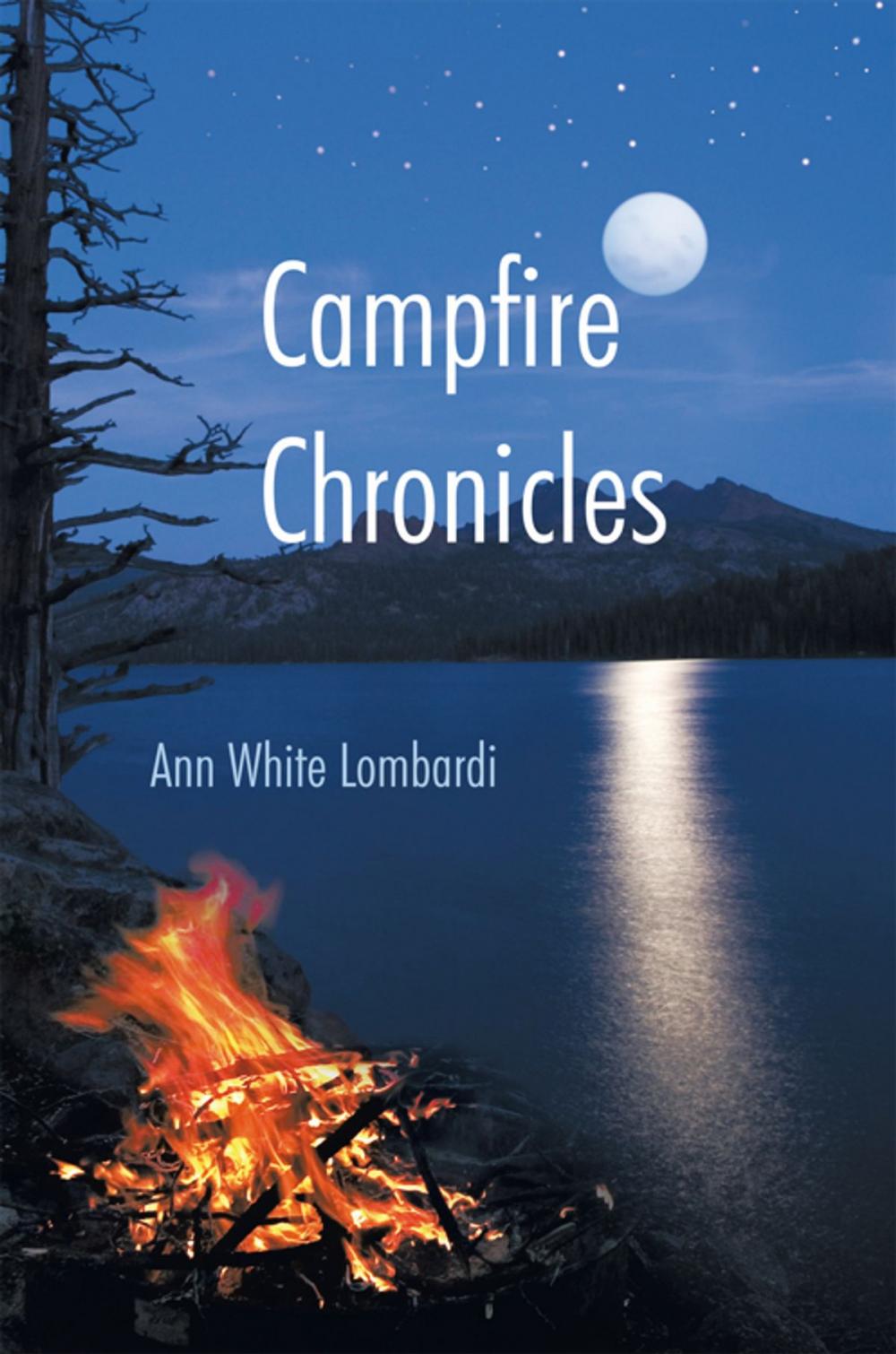 Big bigCover of Campfire Chronicles