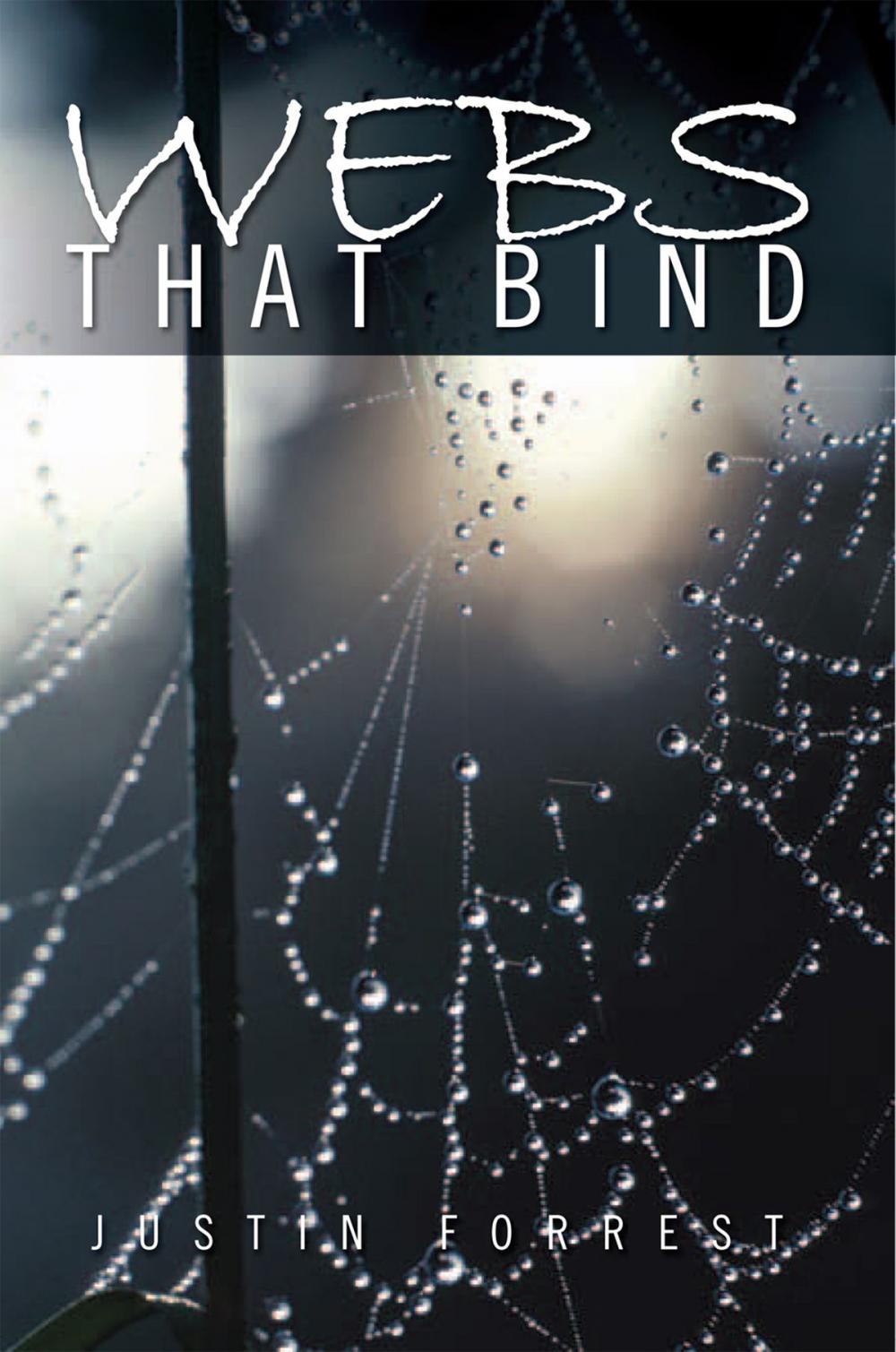 Big bigCover of Webs That Bind