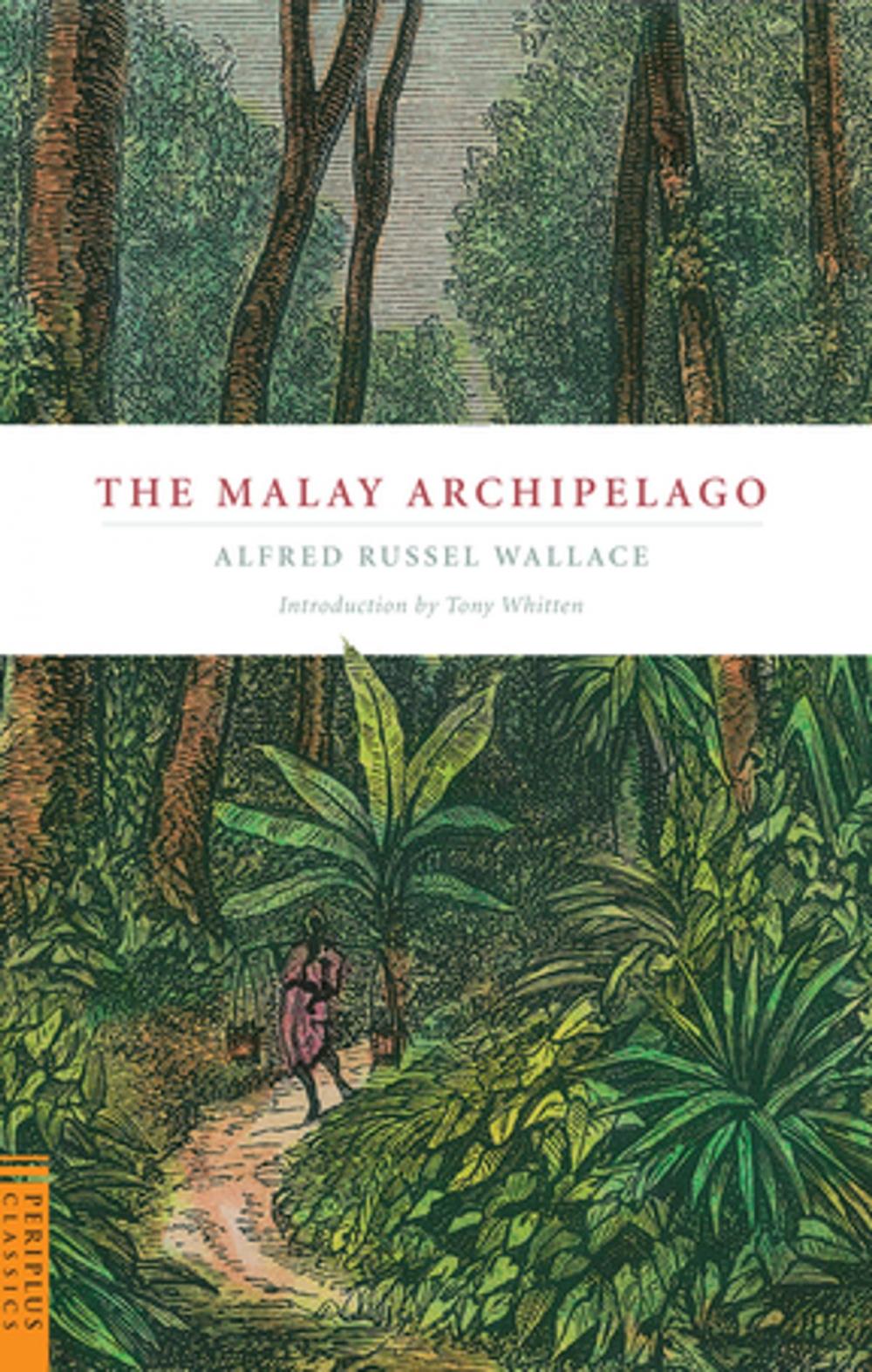 Big bigCover of Malay Archipelago