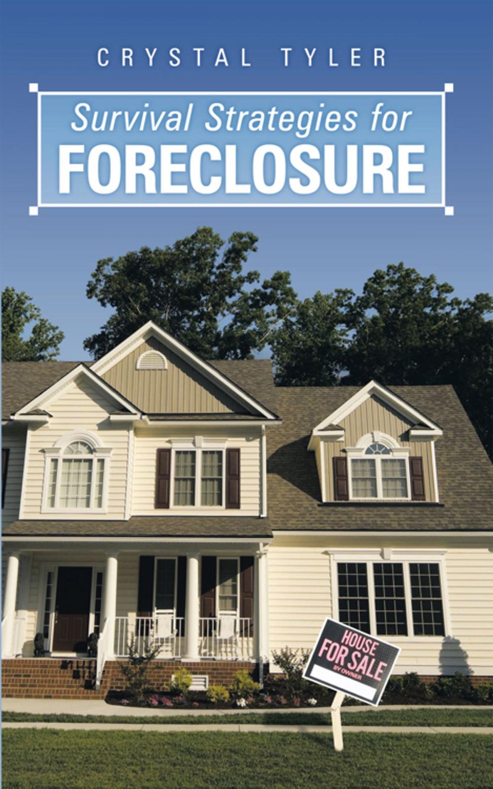 Big bigCover of Survival Strategies for Foreclosure