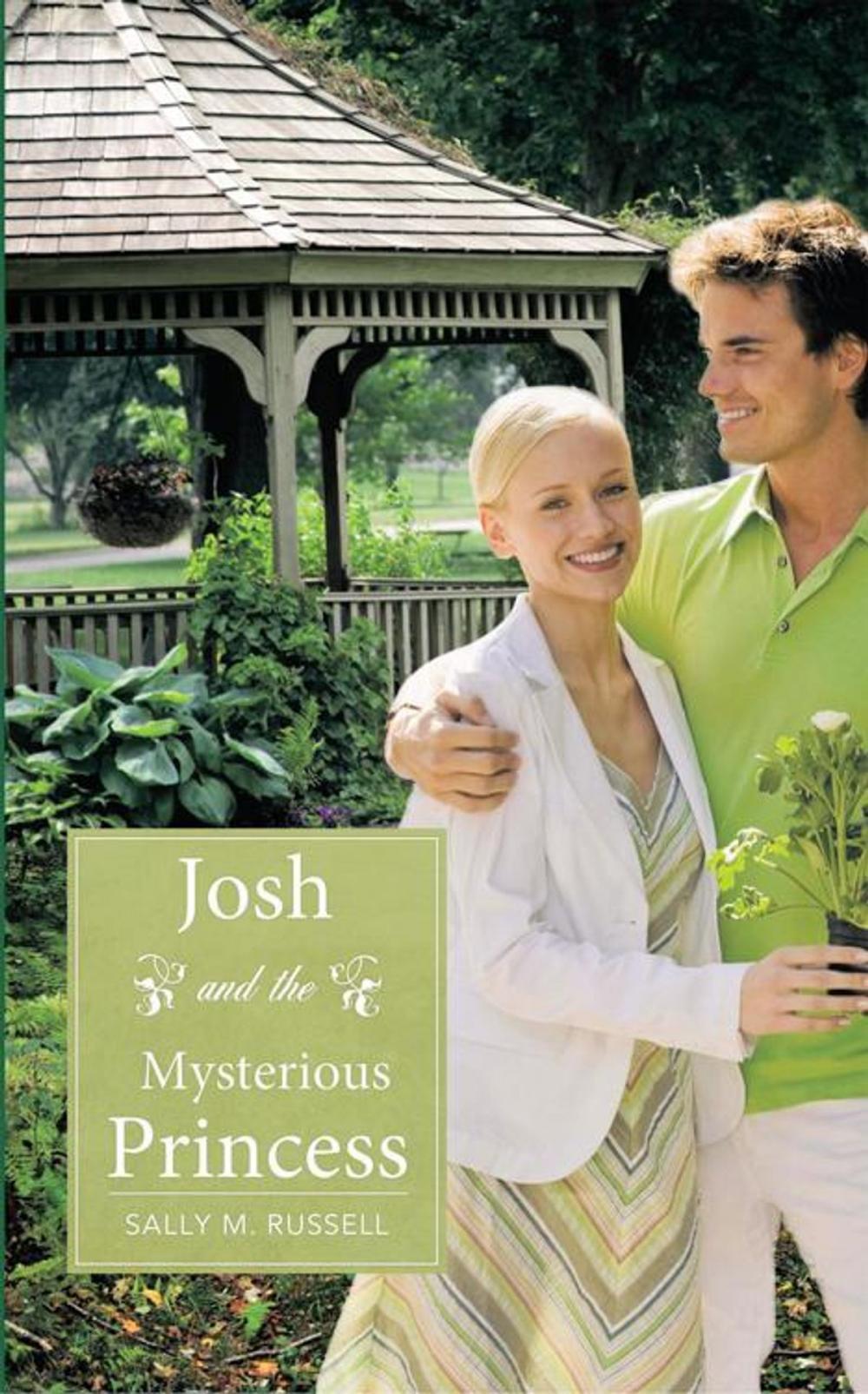 Big bigCover of Josh and the Mysterious Princess