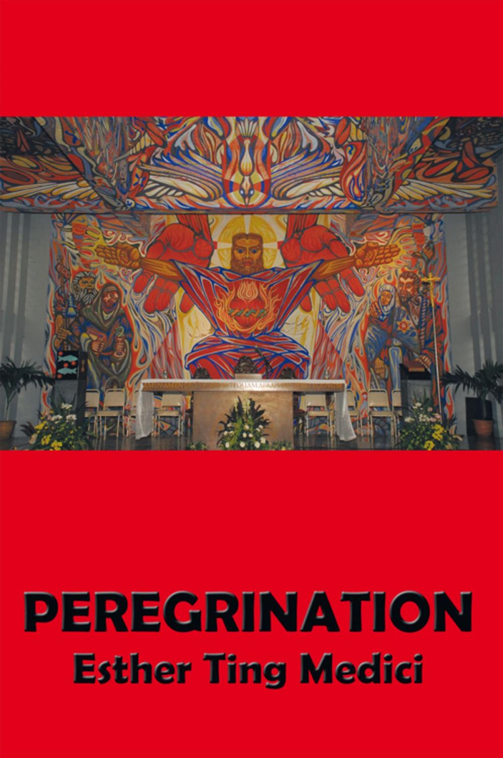 Big bigCover of Peregrination