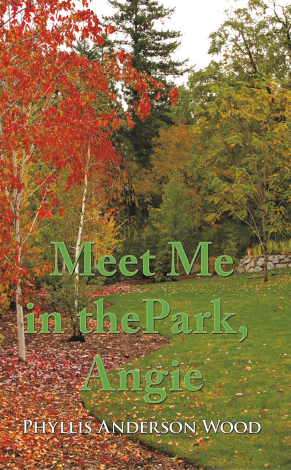 Big bigCover of Meet Me in the Park, Angie