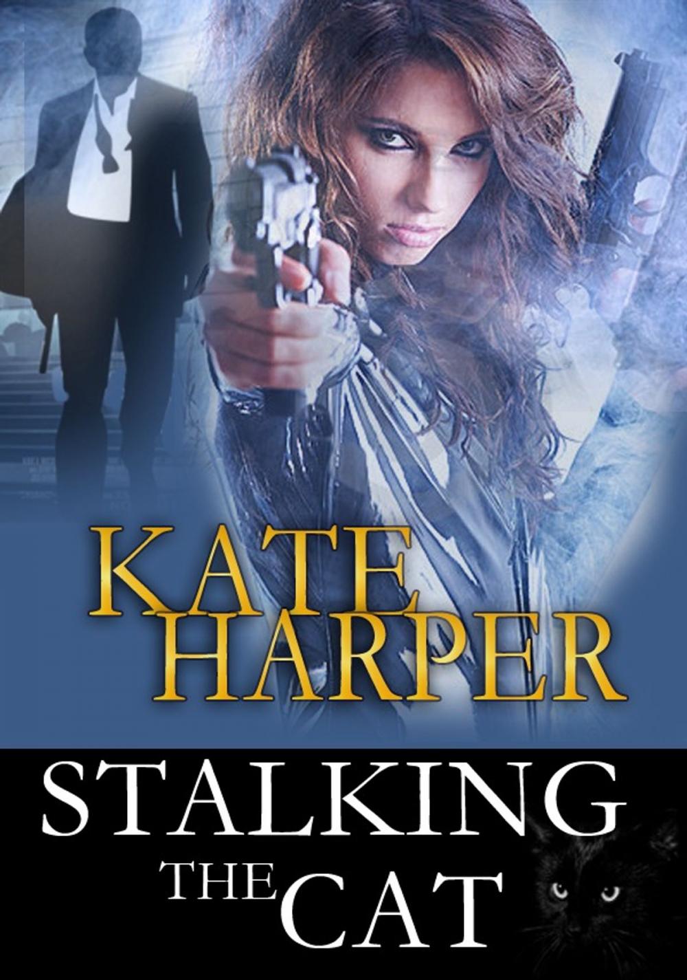 Big bigCover of Stalking The Cat: Romantic Suspense