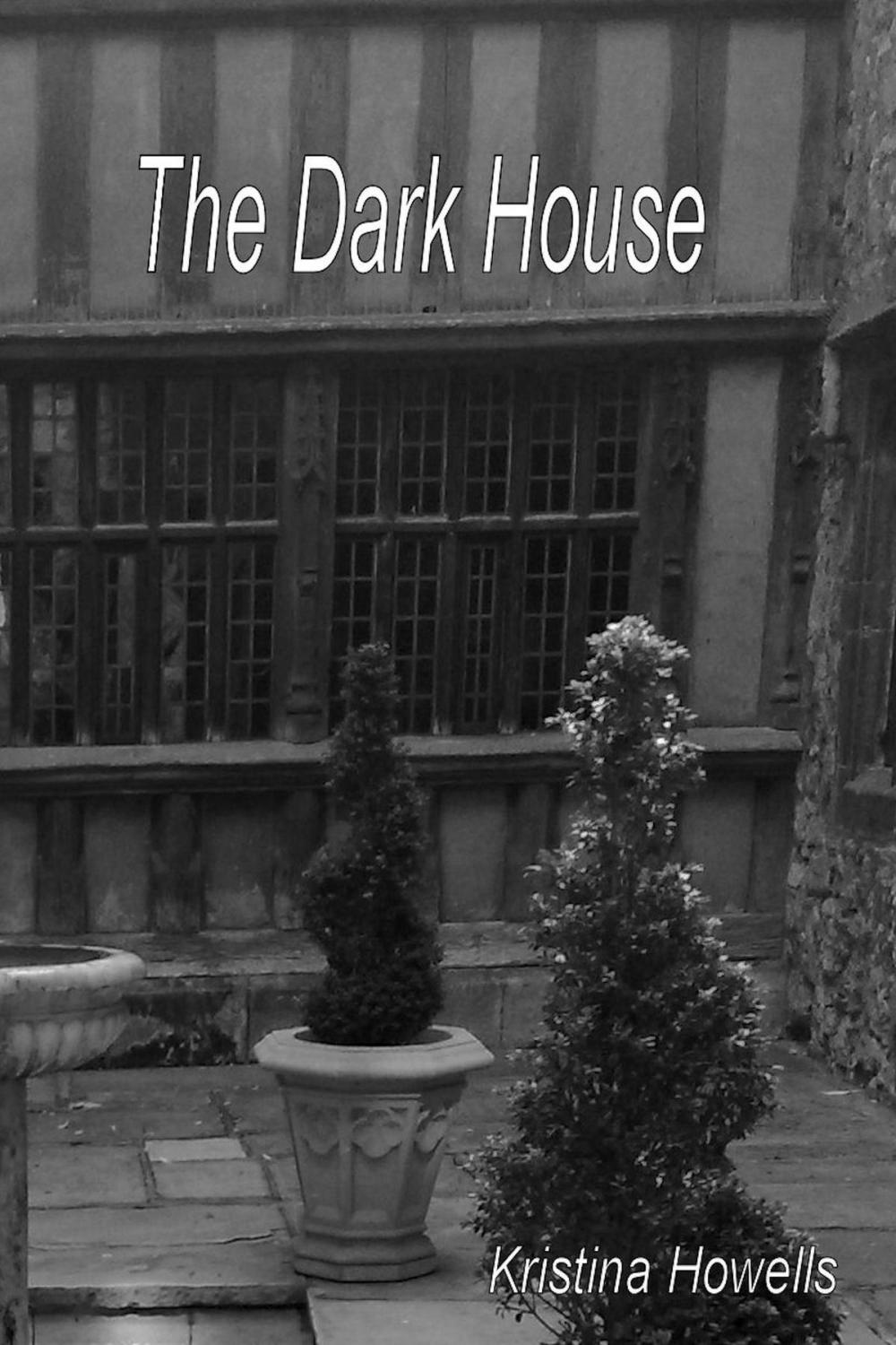 Big bigCover of The Dark House