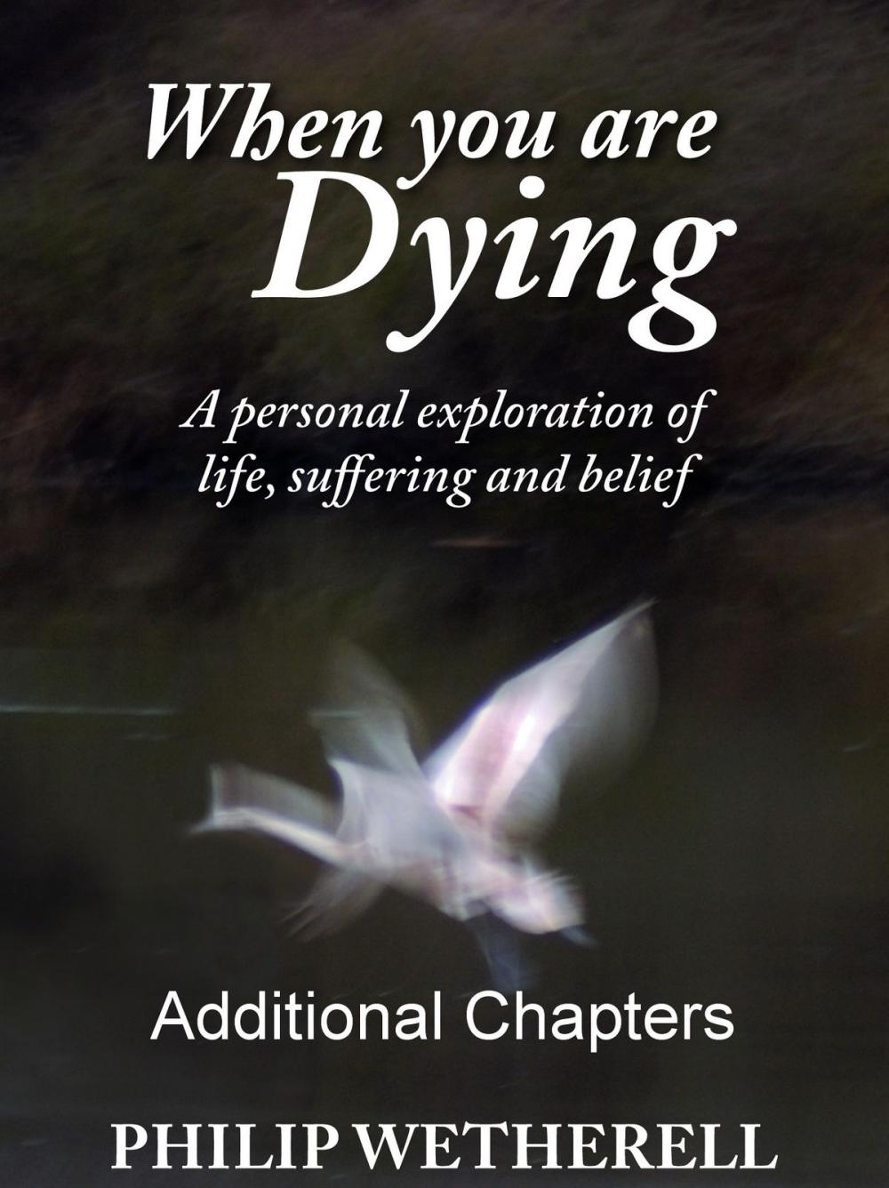 Big bigCover of WHEN YOU ARE DYING: A Personal Exploration of Life, Suffering and Belief, ADDITIONAL CHAPTERS