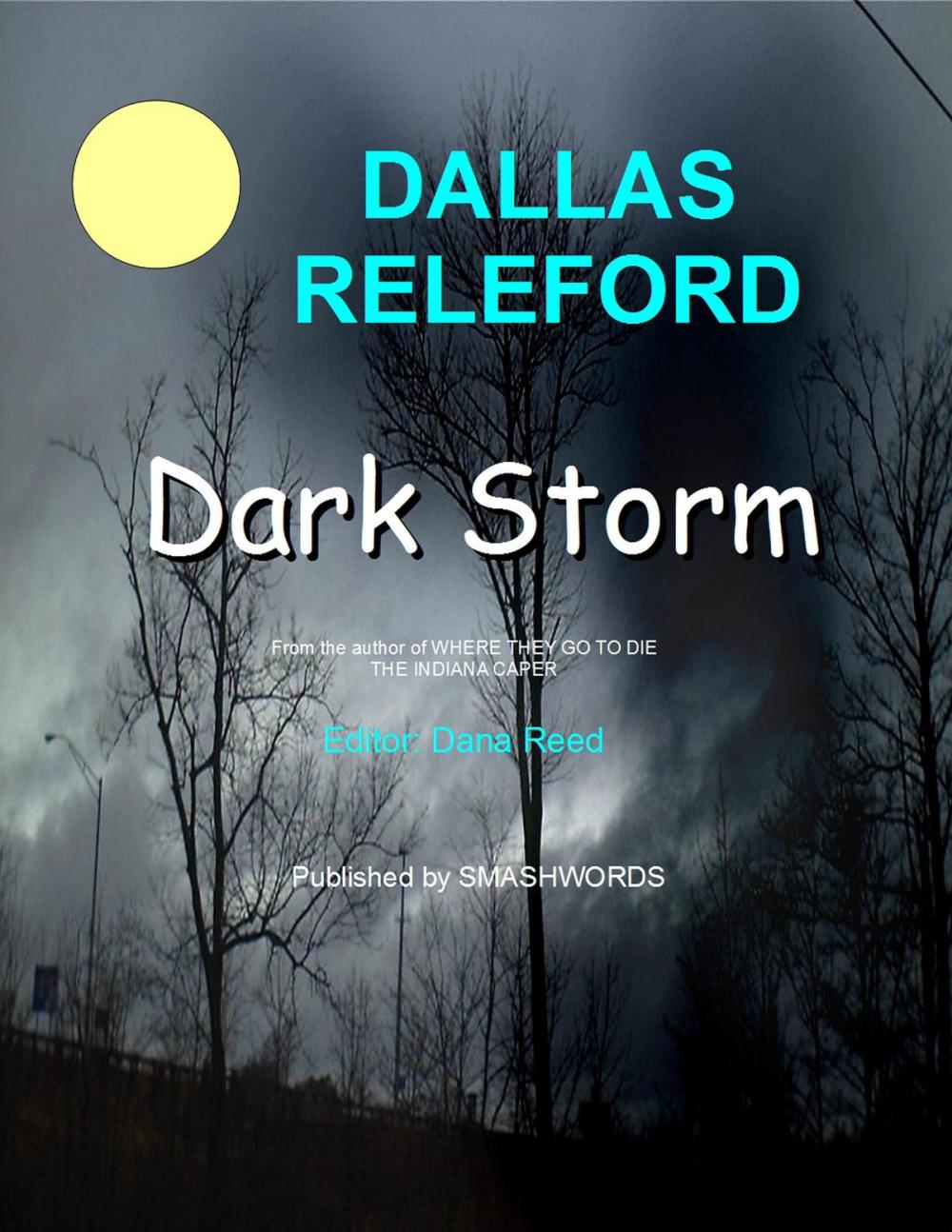 Big bigCover of Dark Storm