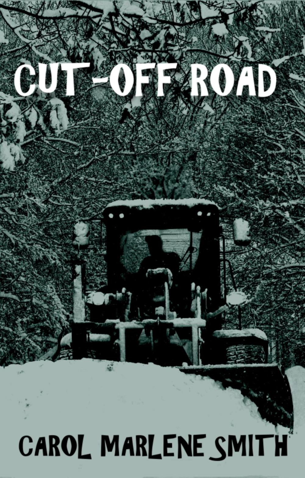 Big bigCover of Cut-Off Road