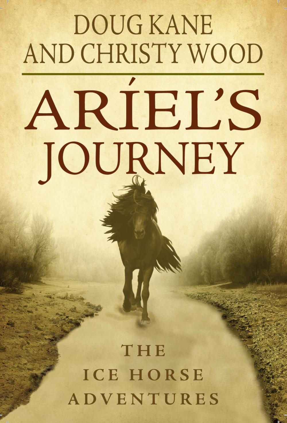 Big bigCover of Ariel's Journey