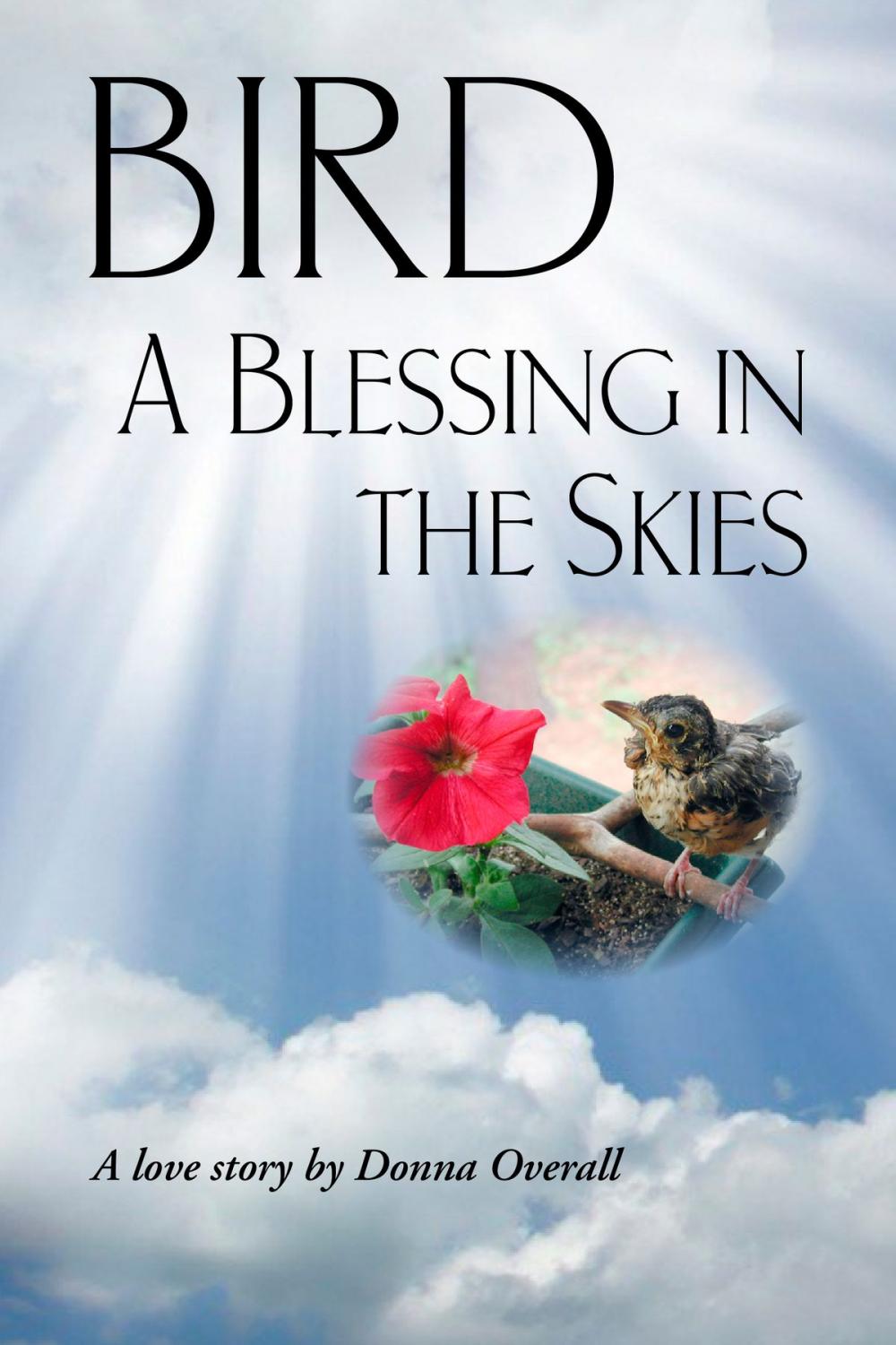 Big bigCover of Bird: A Blessing in the Skies