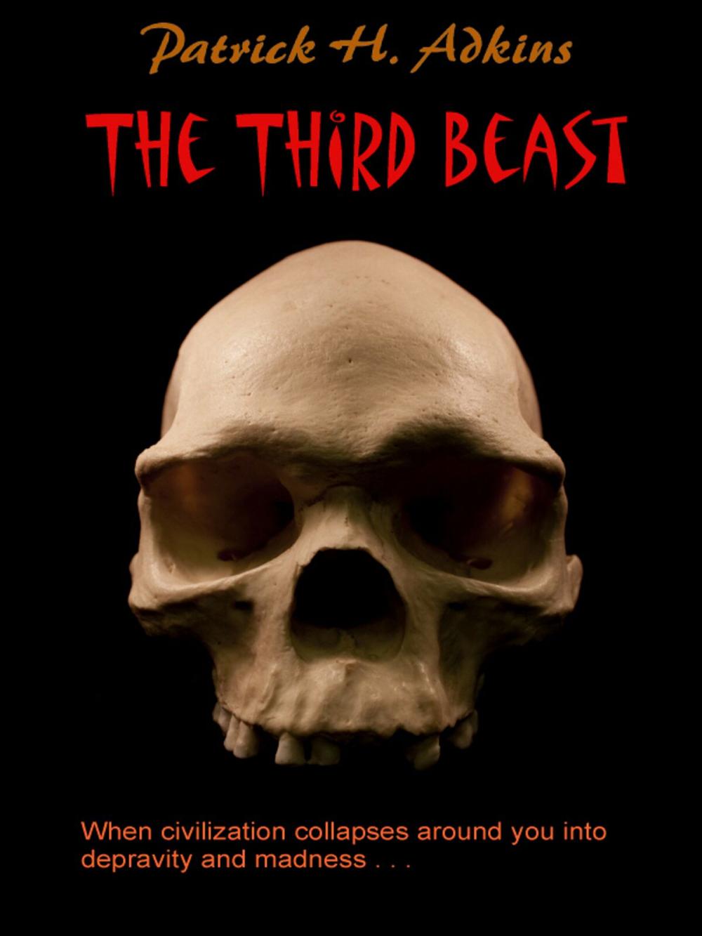 Big bigCover of The Third Beast