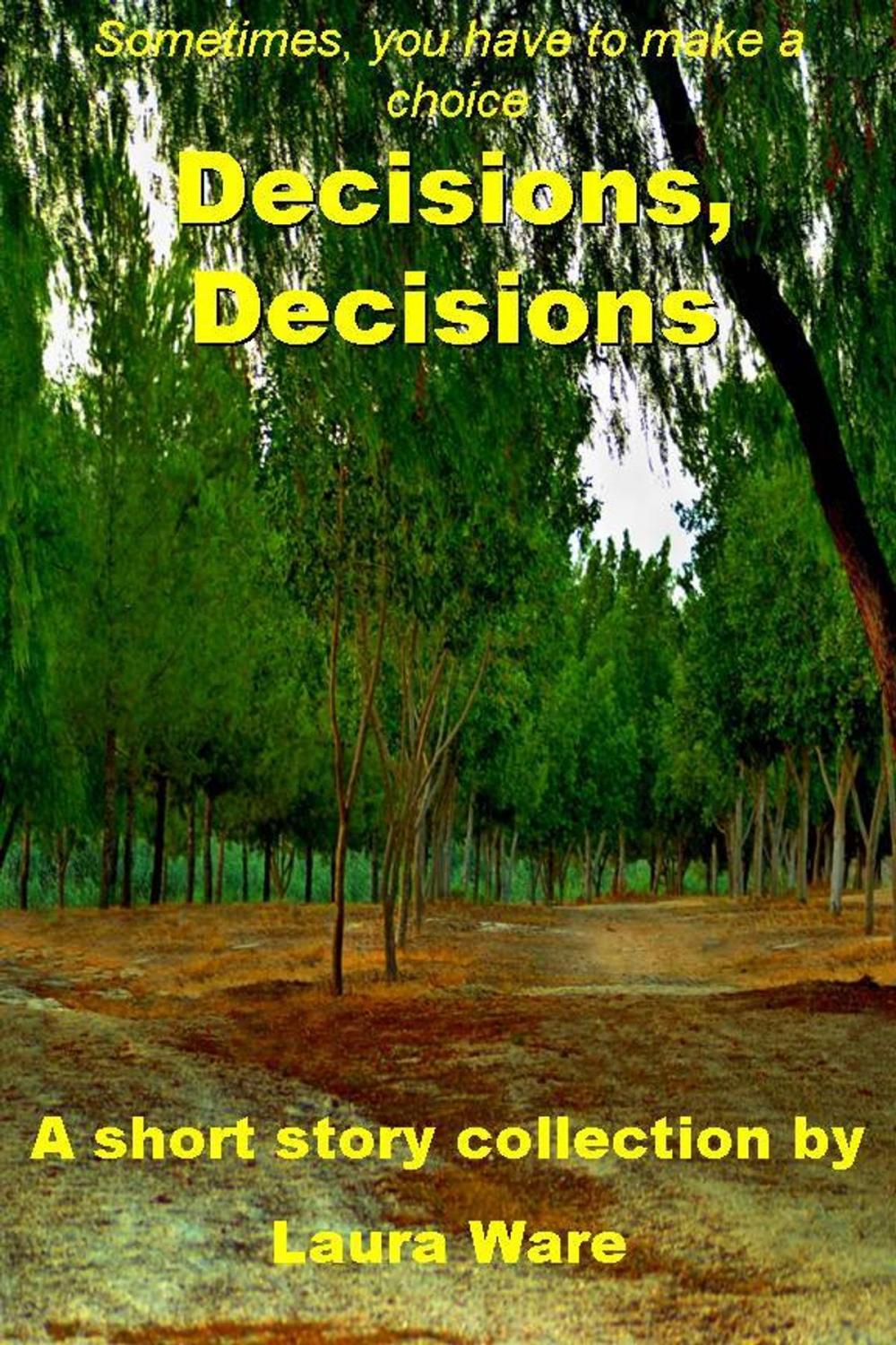 Big bigCover of Decisions, Decisions