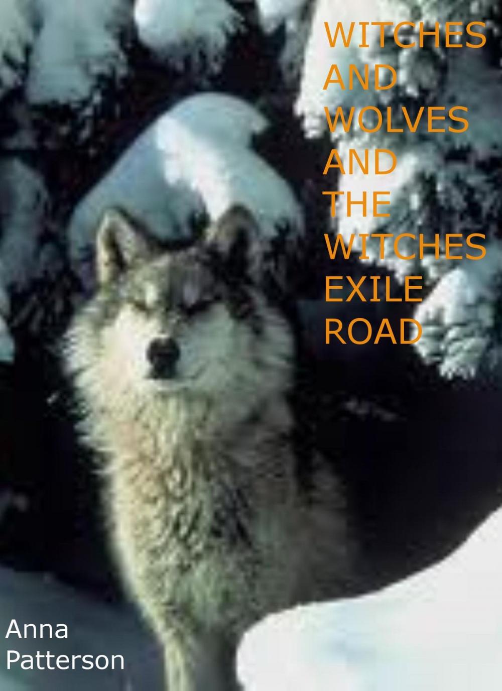 Big bigCover of Witches and Wolves and the Witches Exile Road