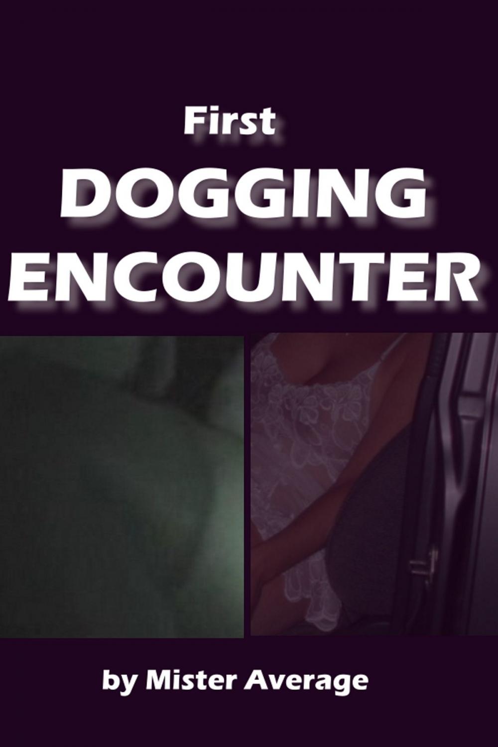 Big bigCover of First Dogging Encounter