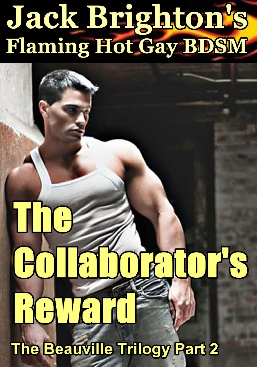 Big bigCover of The Collaborator's Reward