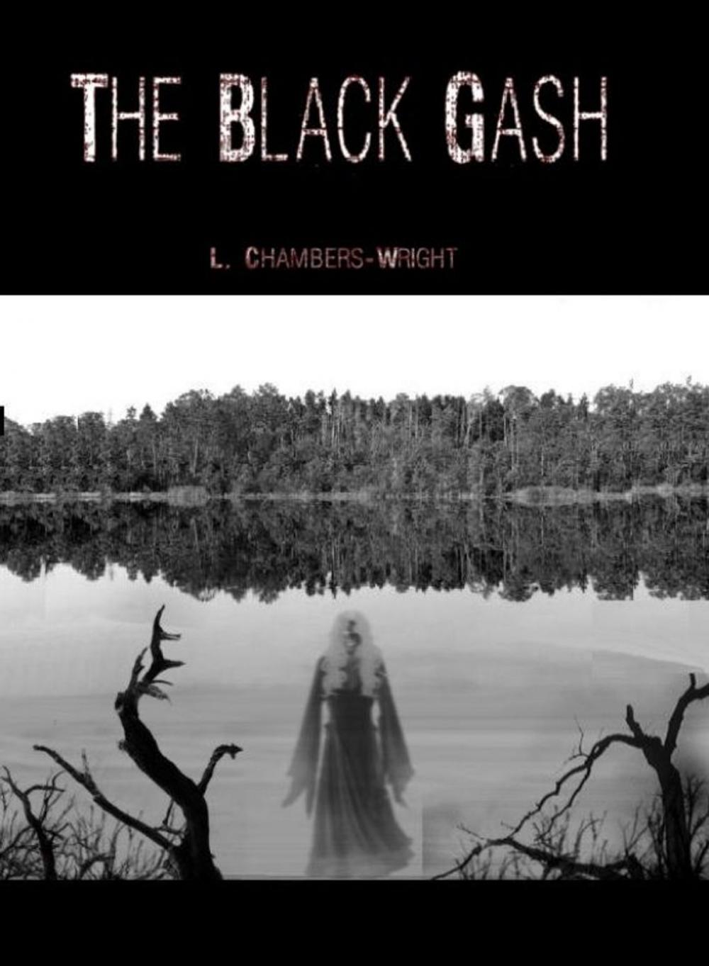 Big bigCover of The Black Gash