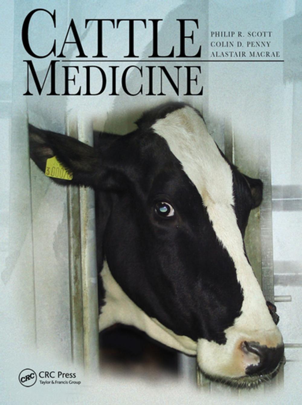 Big bigCover of Cattle Medicine